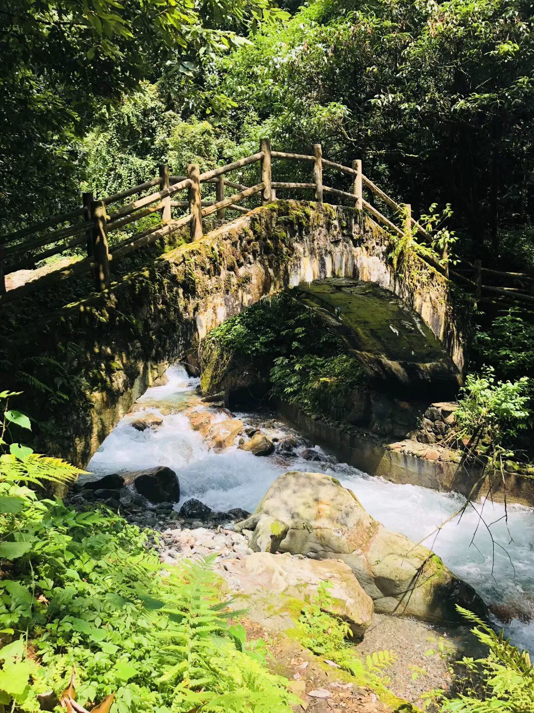 双球转动